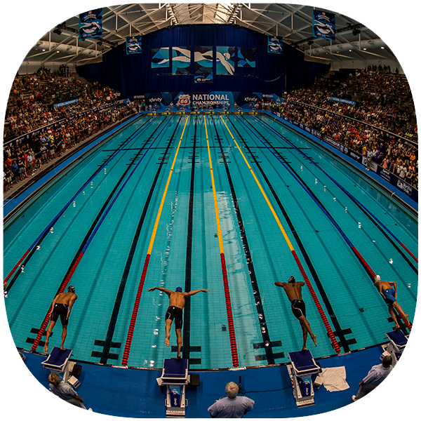 Illustration of computer monitor