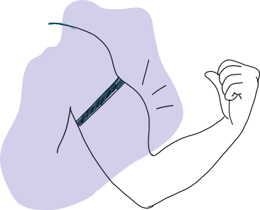 Illustration of muscles flexing